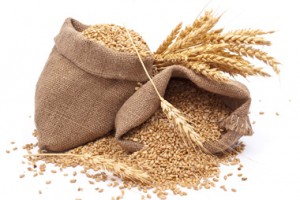 spelt-1